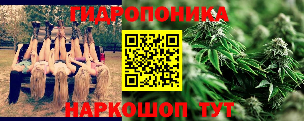 Бошки Шишки Amnesia Кингисепп